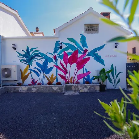 Romana Vila *