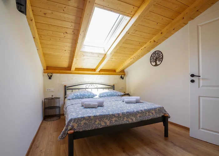 Vila Romana Bibinje