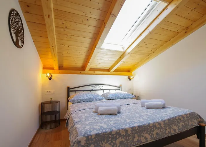 Vila Romana Bibinje